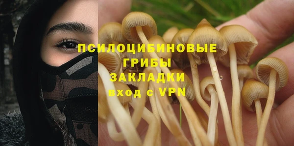 бошки Алзамай