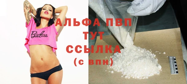 мет Алексин