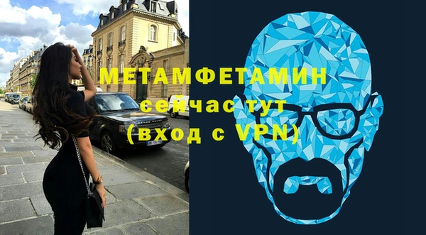 мет Алексин