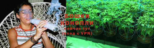бошки Алзамай