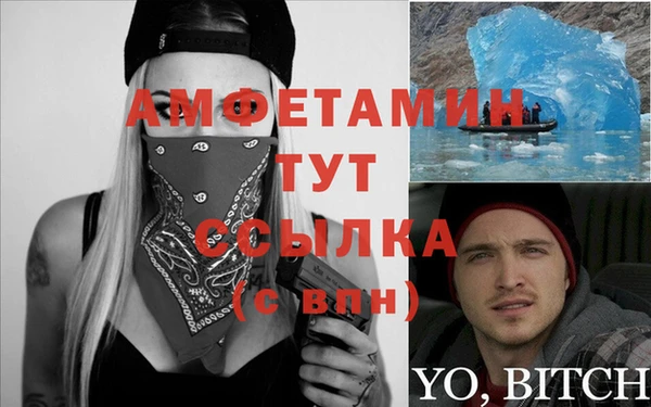 мет Алексин