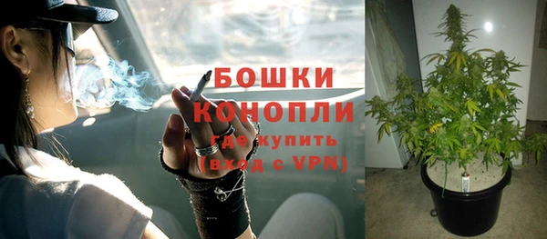 бошки Алзамай