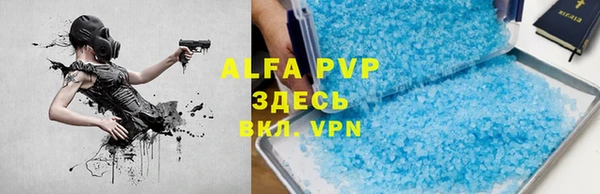 сатива Алексеевка